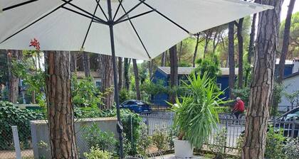 Marina Romea 2 Splitted Executive Flats