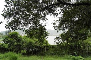 A natural landscape with a body of water, dense foliage, and a distant view of hills.