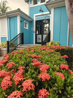 Exterior detail