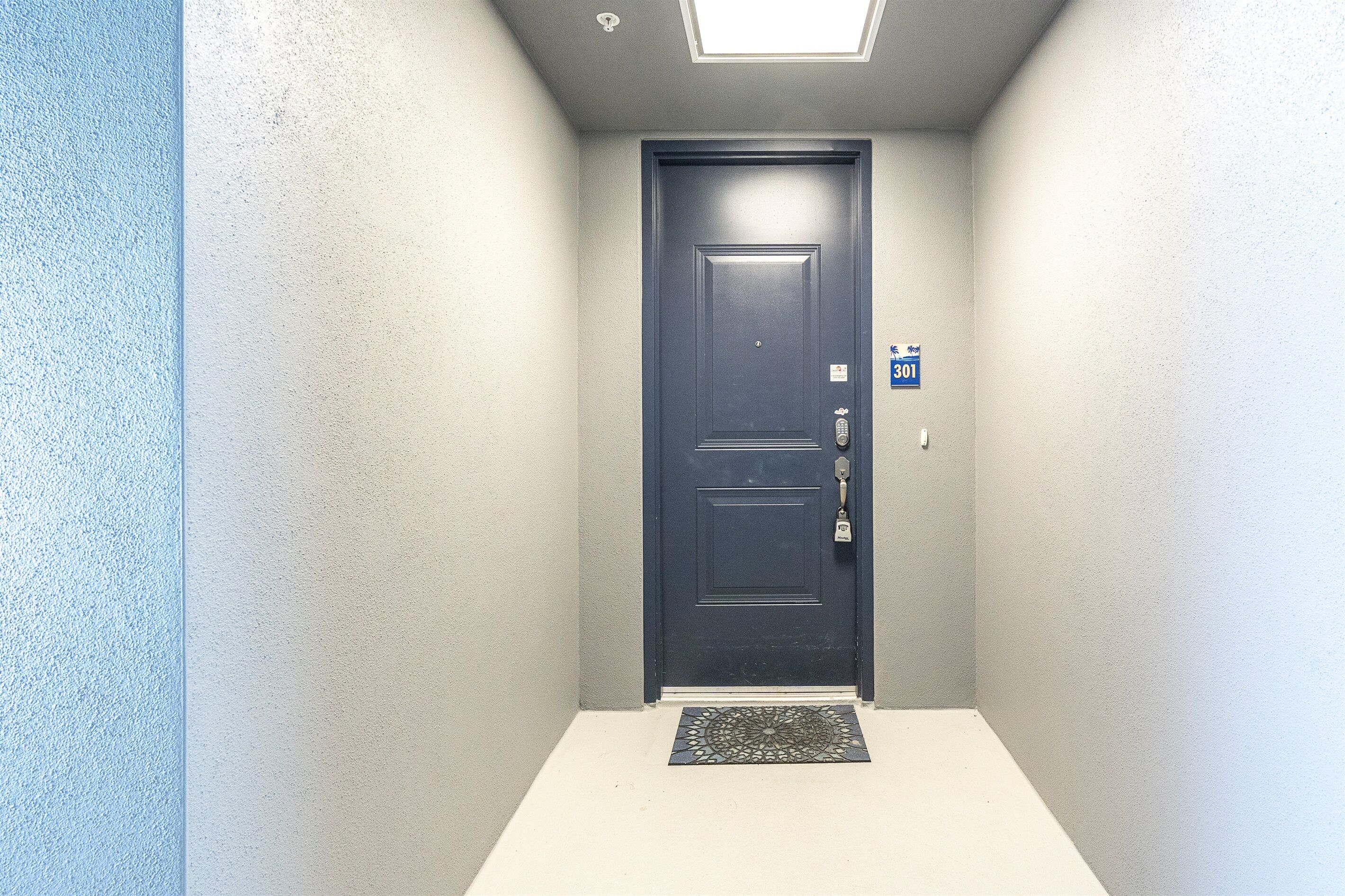 A narrow hallway with a dark door, a small mat, and a ceiling light.