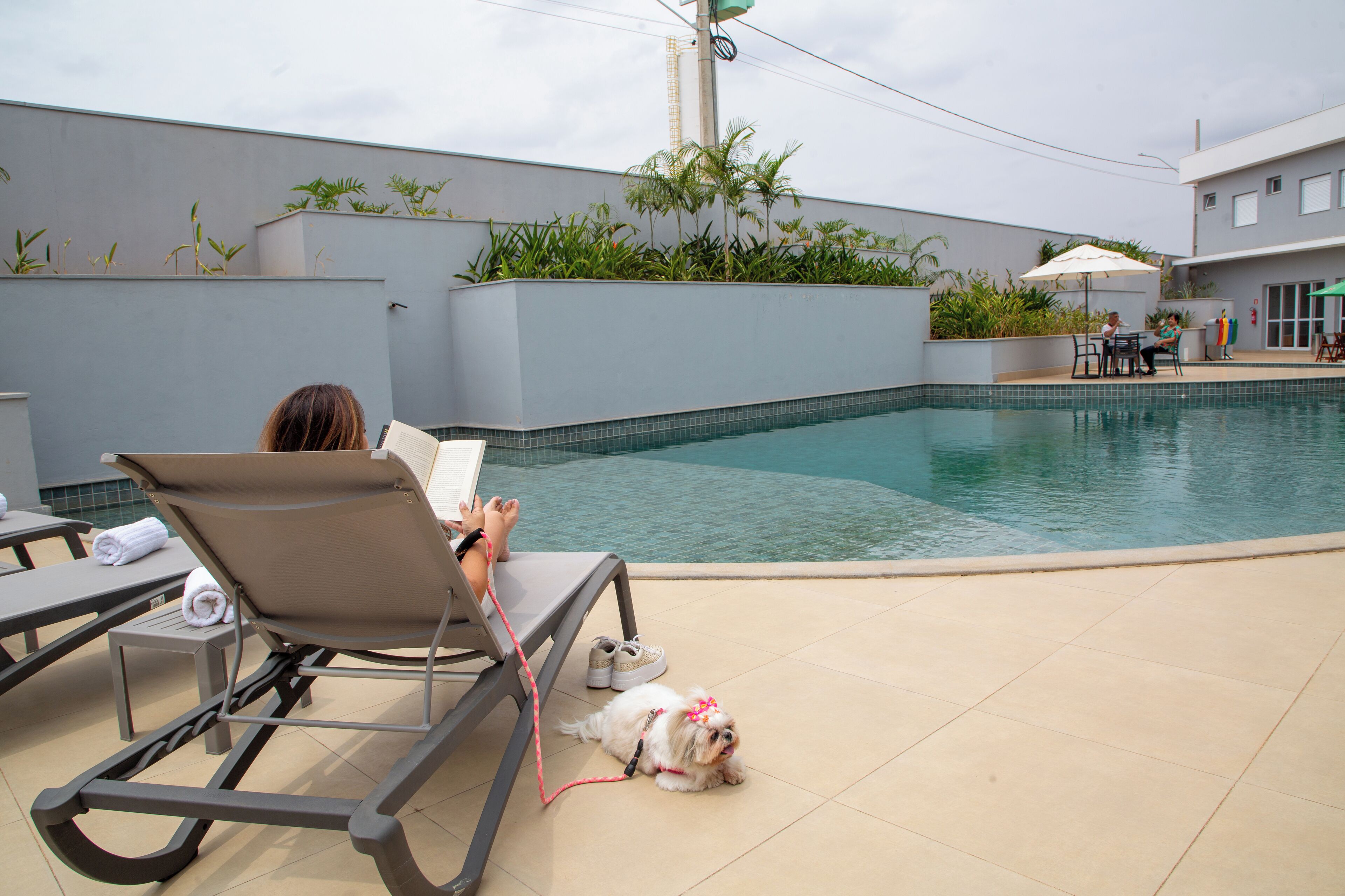 A poolside area with lounge chairs, a small pool, and a dog.