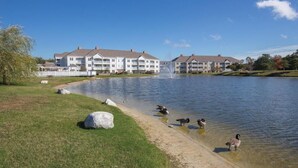 A lakeside view with a building featuring multiple balconies and a fountain.