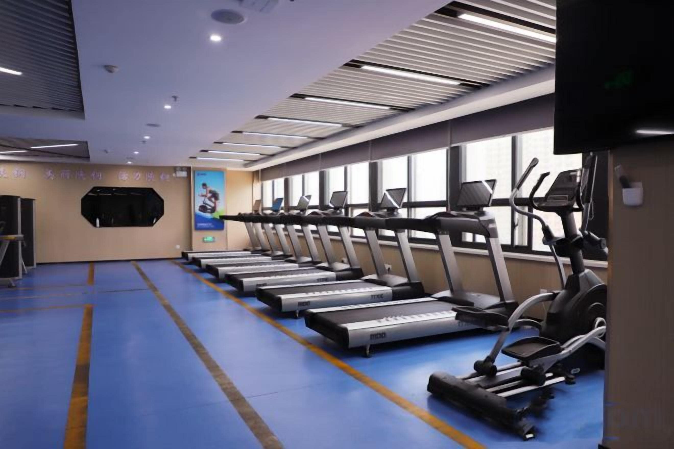 A gym with multiple treadmills and elliptical machines arranged in rows.