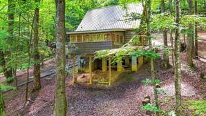 A cabin surrounded by dense forest, with a covered porch and a metal roof. - Cozy Nature Escape! Roaring Gap Cabin w/ Patio (Roaring Gap)