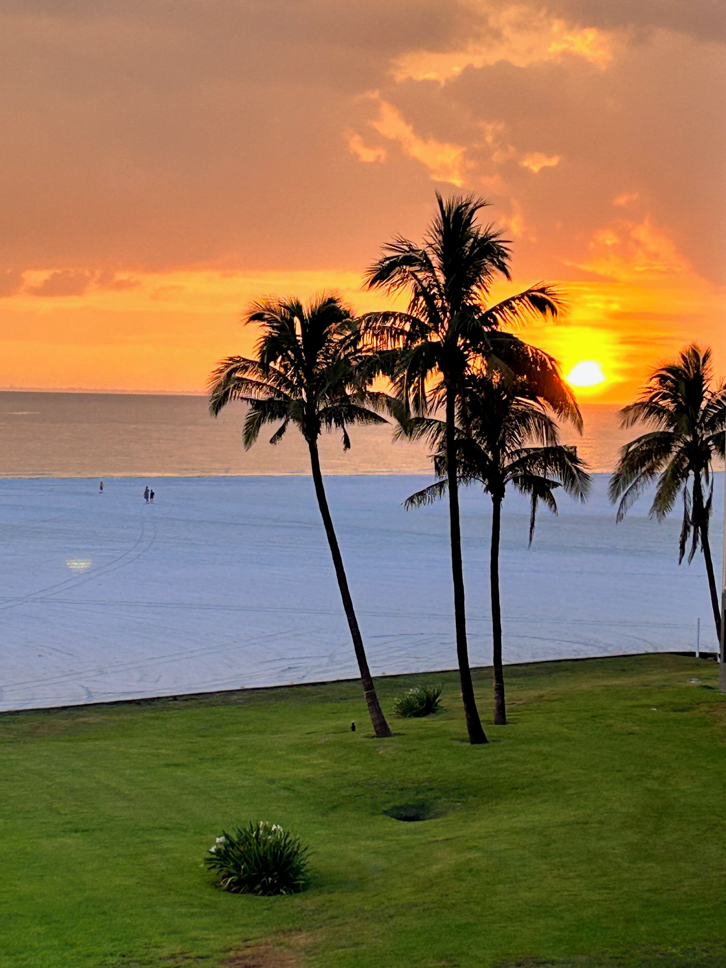 Plage, chaises longues, serviettes de plage