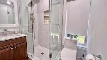 Ducha, cabezal de ducha con hidromasaje, secador de pelo, toallas