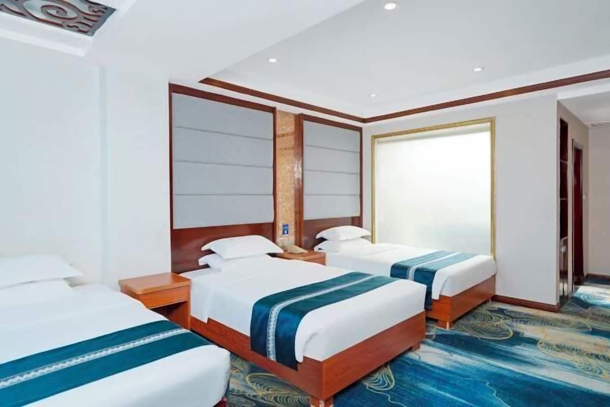 Une chambre d’hôtel avec deux lits, un grand miroir et une moquette à motifs.