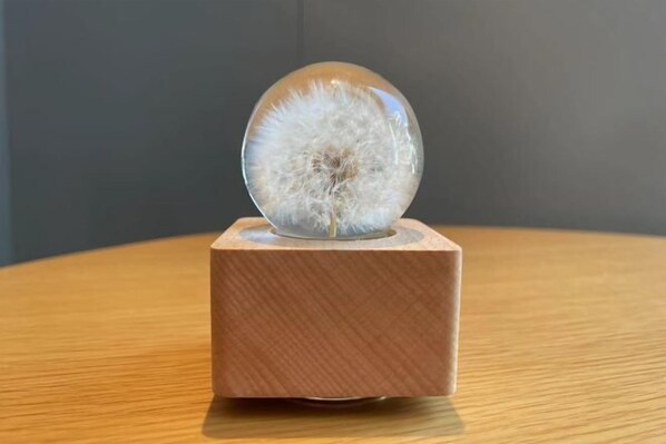 A clear glass sphere with a dandelion seed head on a wooden base. - JI Hotel (Xiamen Municipal Government Bailuzhou Road) (Xiamen)