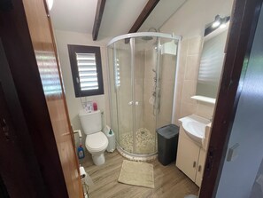 Shower, hair dryer, towels, toilet paper