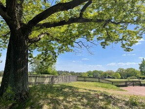 Vista des de l'allotjament