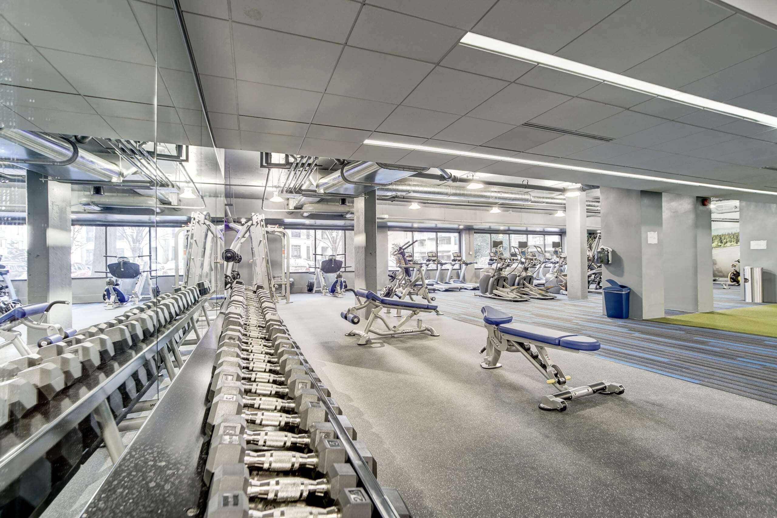 Un gimnasio moderno con diversos equipos de ejercicio, como mancuernas, cintas de correr y máquinas de pesas.