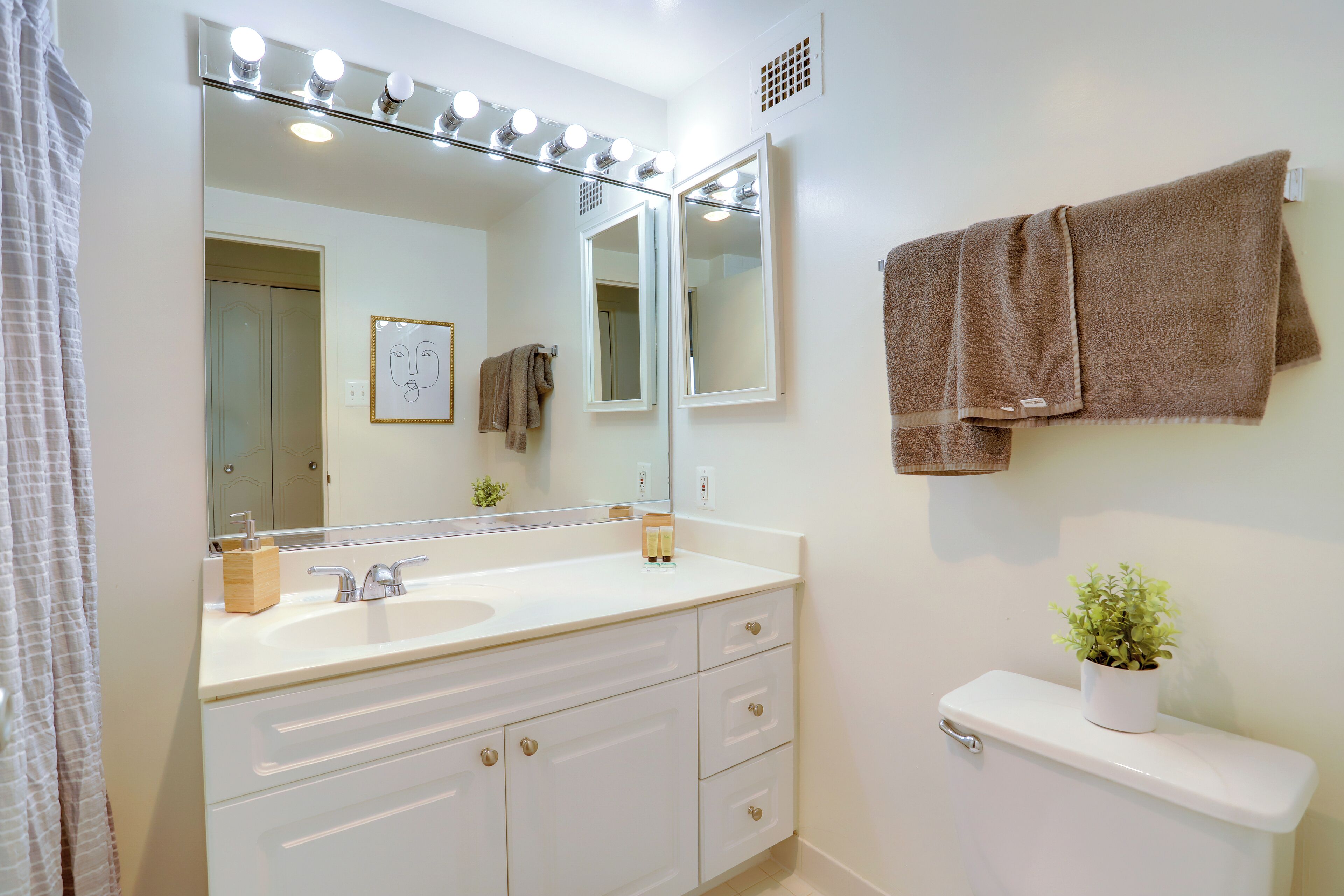 A bathroom with a white vanity, a large mirror with lights, a towel rack, and a potted plant.