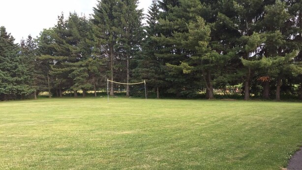 Un campo cubierto de césped con una red de voleibol en el centro, rodeado de árboles.