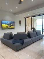 Televisión de pantalla plana, Netflix, servicios de streaming