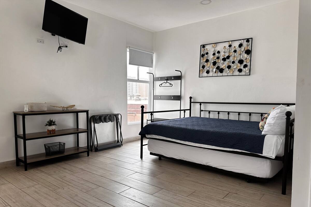 A bedroom with a bed, a TV, a shelf with a plant, and a window.