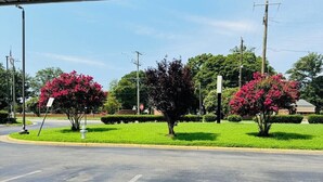 Un estacionamiento con dos árboles de flores rosadas, cielo despejado y un edificio al fondo.