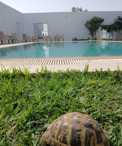 Casa bella vita Tunisia Italia