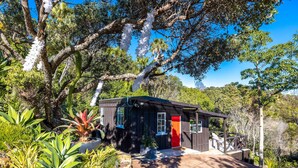 Une petite cabane aux couleurs sombres, avec une porte rouge, entourée d’une végétation luxuriante et de grands arbres.