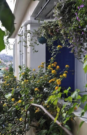 Hallway - Casa N Hostel (Baguio)