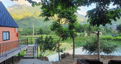 Milk Homestay