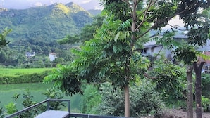 A lush green landscape with a river, trees, and a distant mountain. - Milk Homestay  (Du Gia)