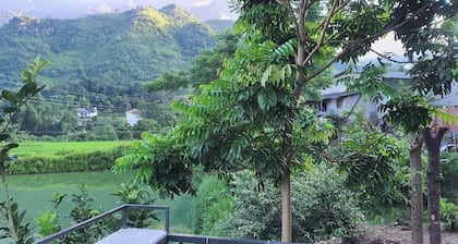 Milk Homestay