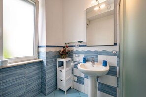 Shower, hair dryer, bidet