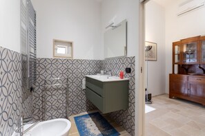 Shower, hair dryer, bidet, towels