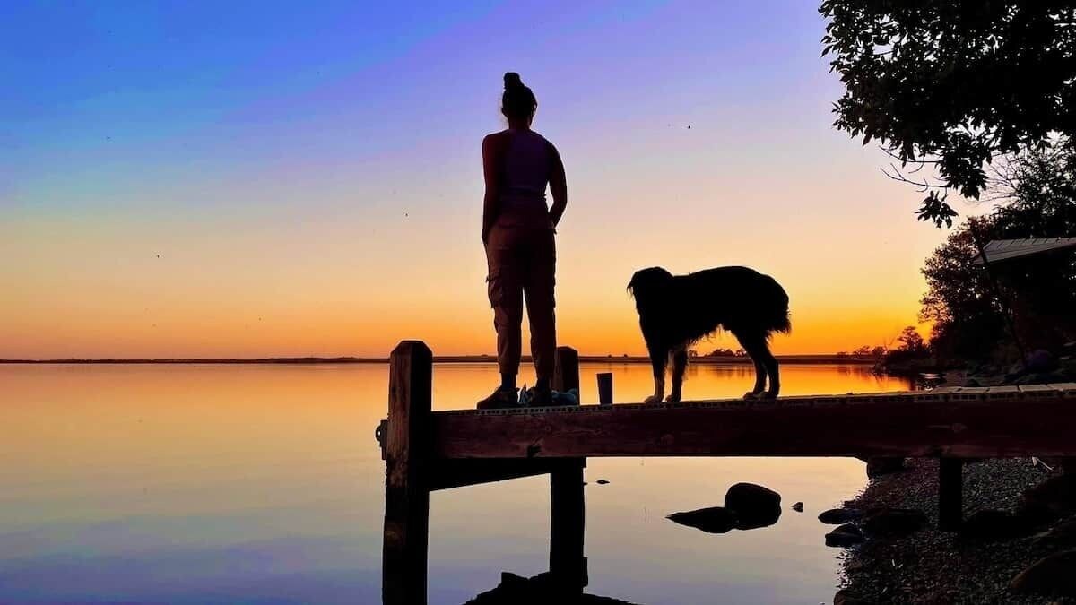 Imagen de perfil del propietario o de la propietaria