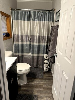 Hair dryer, soap, shampoo, toilet paper