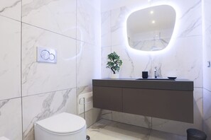 Shower, hair dryer, bidet, towels