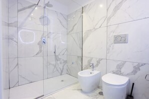 Shower, hair dryer, bidet, towels