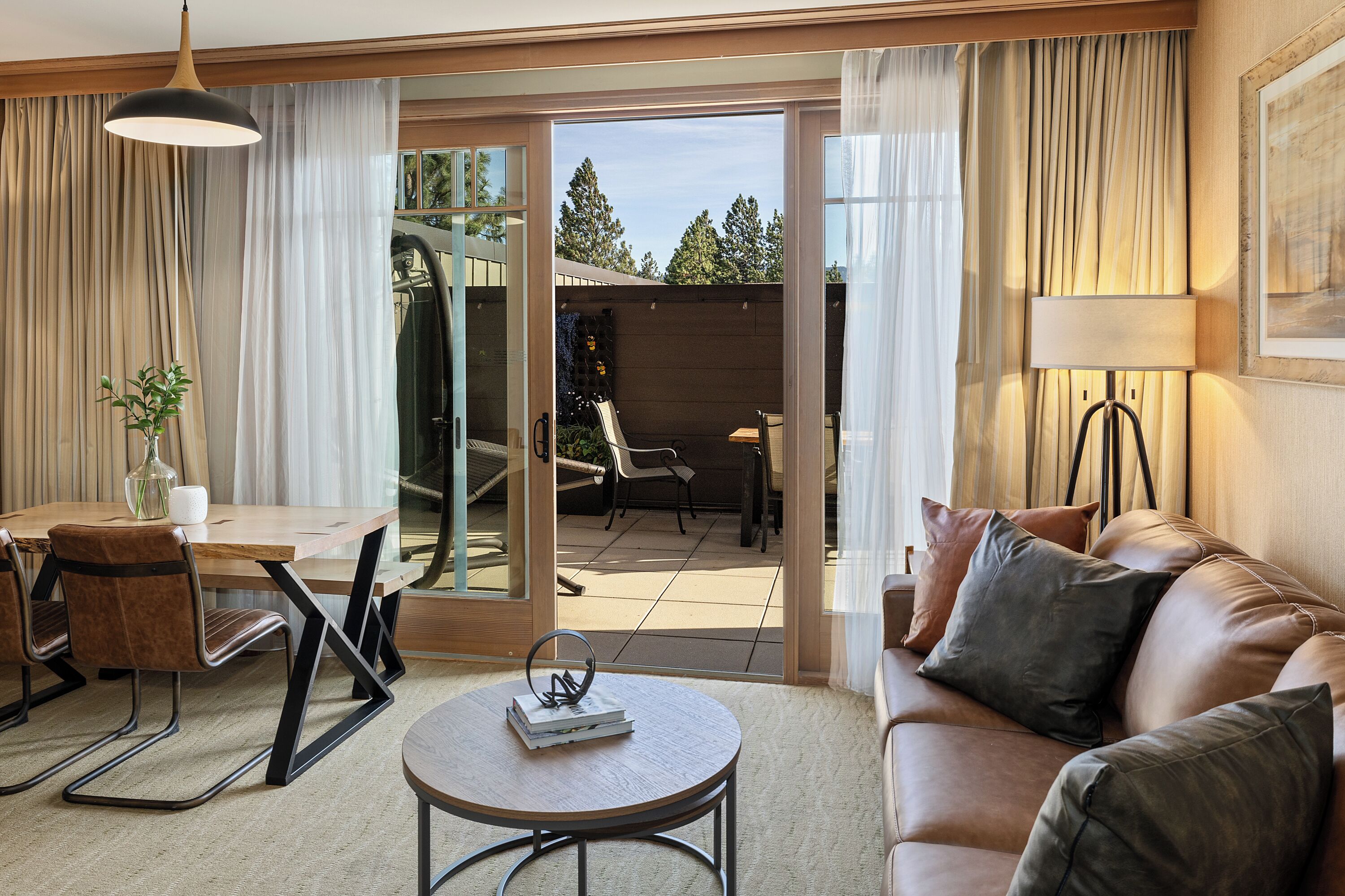 TV, fireplace, books