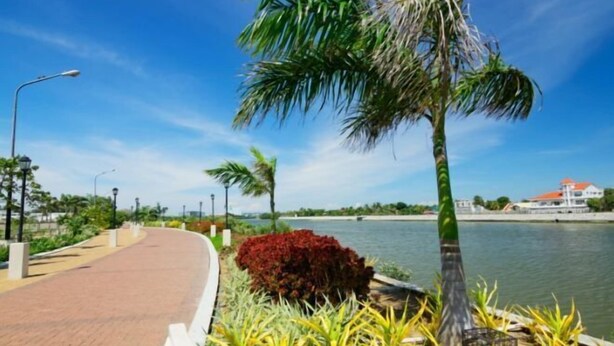 A paved walkway beside a body of water, lined with palm trees and red foliage.