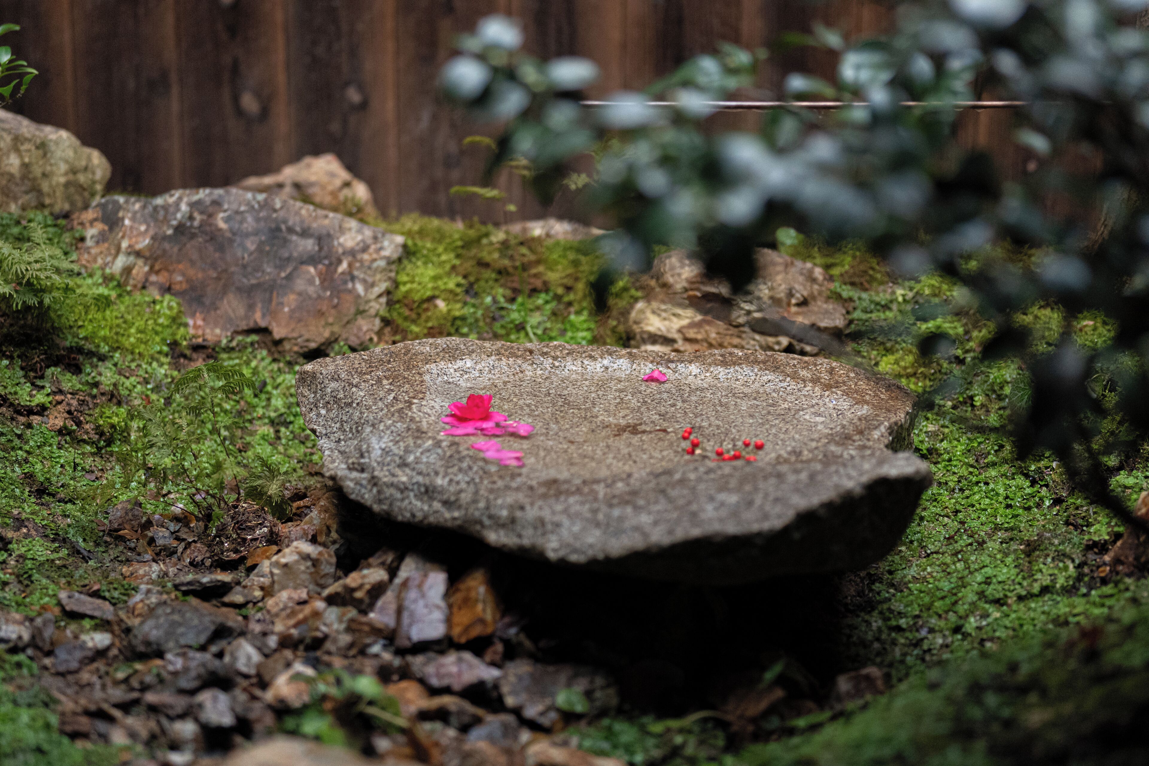 Una cuenca de piedra rodeada de musgo y rocas, con una valla de madera al fondo.