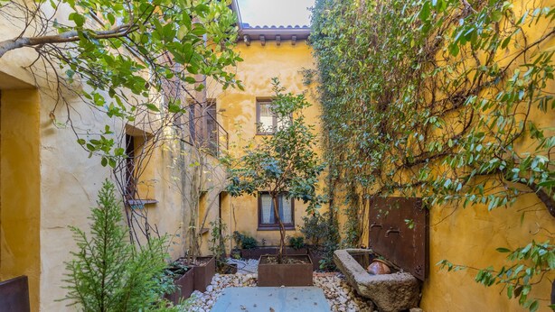 Un patio con un árbol, un pequeño jardín y un edificio de paredes amarillas.