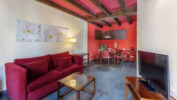 电视、壁炉、DVD 播放器、立体声音响