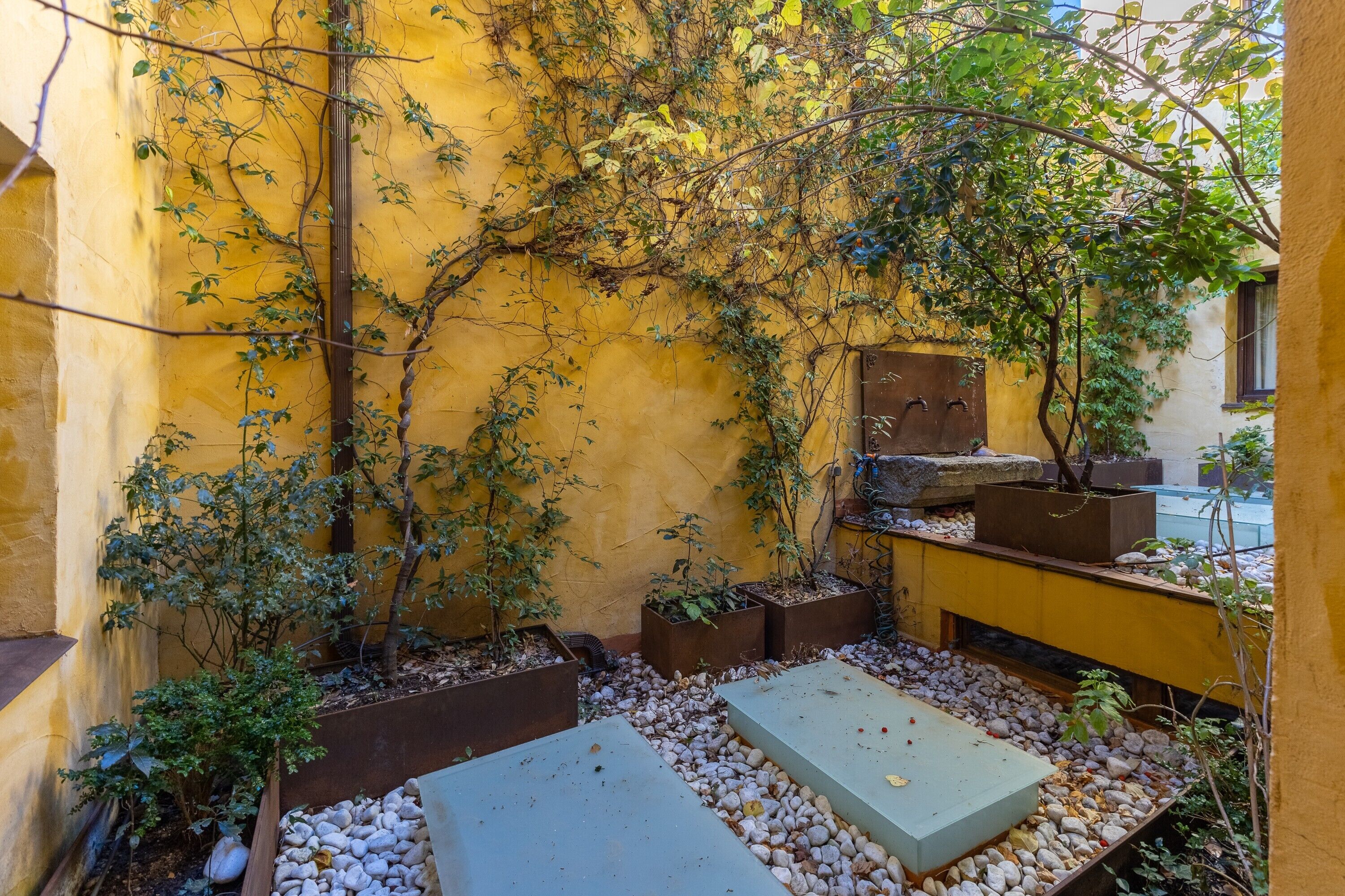 A courtyard with yellow walls, potted plants, and stone steps.