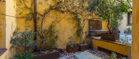 A courtyard with yellow walls, potted plants, and stone steps.
