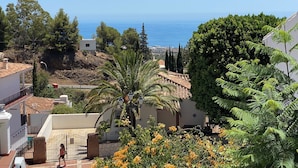 A coastal residential area with houses, a palm tree, and a view of the sea.