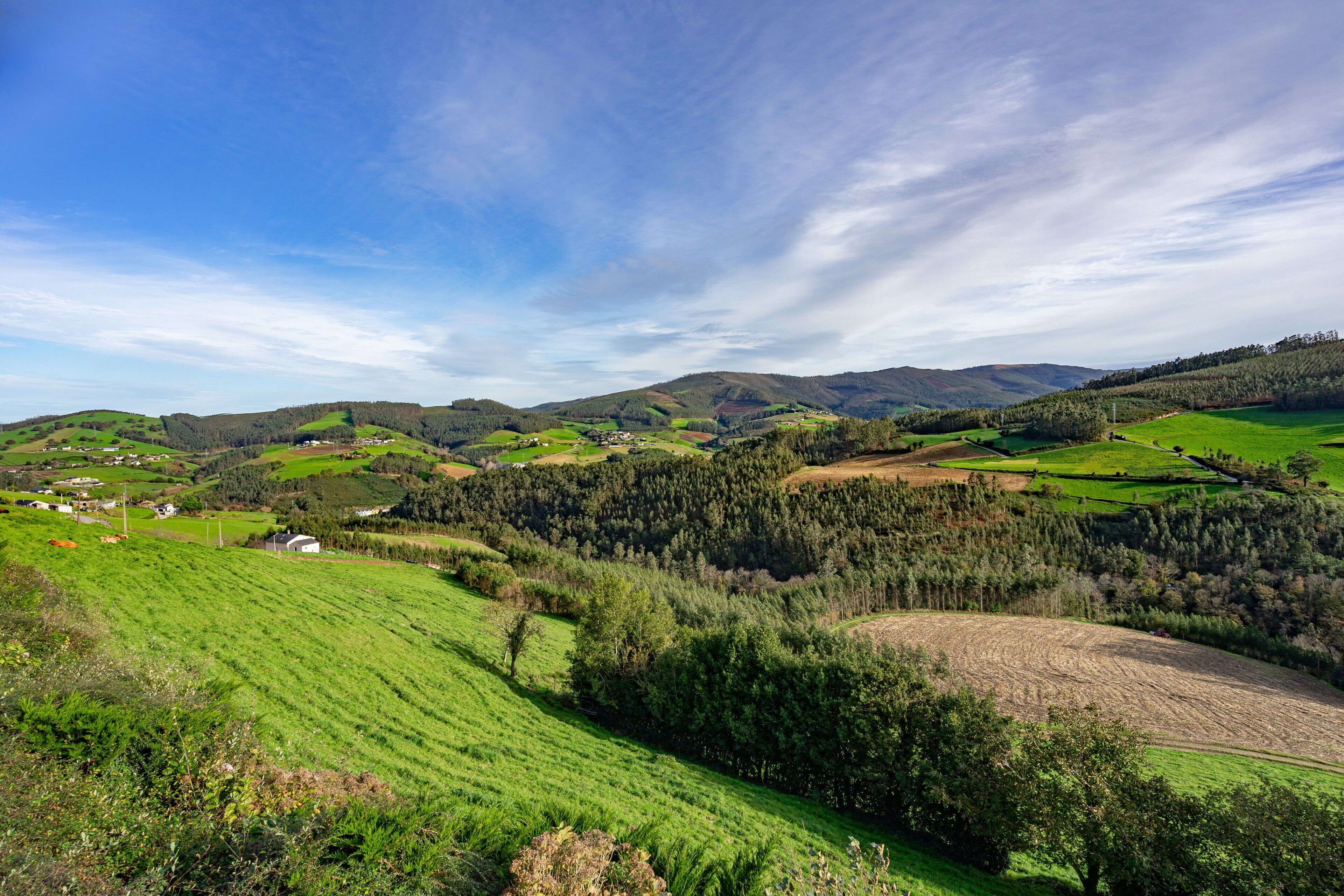 Paisaje rural con colinas ondulantes, campos y casas dispersas.