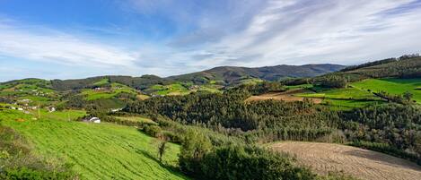 Paisaje rural con colinas ondulantes, campos y casas dispersas.