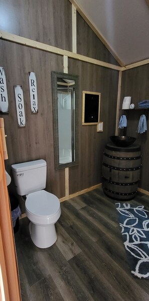 Shower, towels, toilet paper