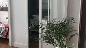 Een kamer met een bed, een potplant en een schuifdeur naar een badkamer.