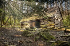 Exterior - Bonnies Place , walk to the Parkway (Pigeon Forge)