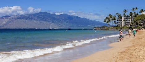 Una spiaggia nelle vicinanze
