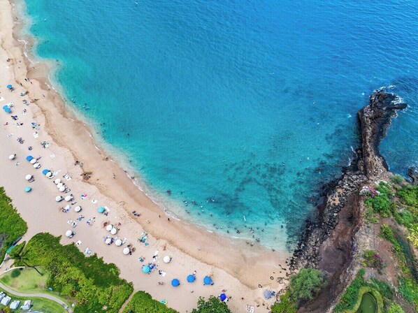 Plage à proximité, chaises longues, serviettes de plage