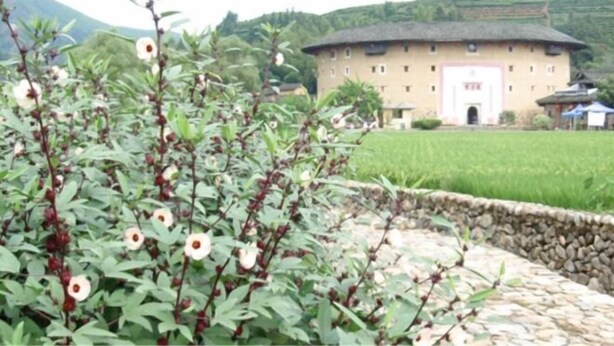 花園