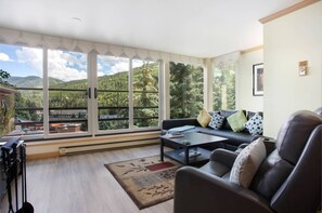 Smart TV, fireplace, DVD player