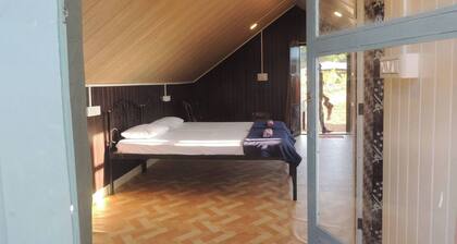 Room-dandeli Aura - Accommodation Only